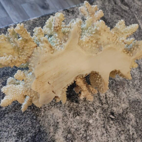 CORAL DECORATION - Picture 6 of 7